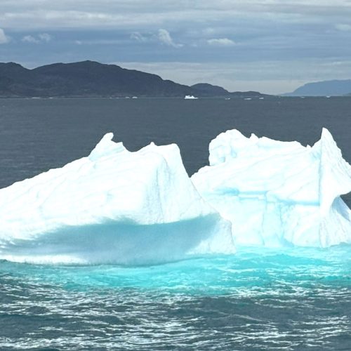 MS in Environmental Sciences and Policy | JHU AAP