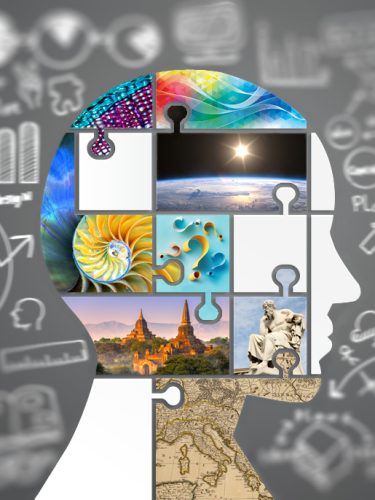 Master of Liberal Arts (MLA) | Johns Hopkins AAP
