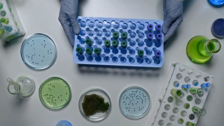 Course Preview Videos: MS in Individualized Genomics and Health