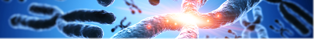 Closeup graphic of chromosomes.