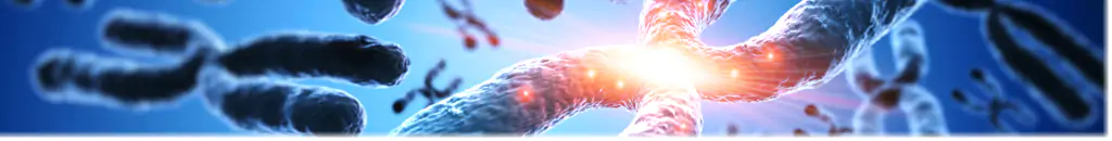 Closeup graphic of chromosomes.