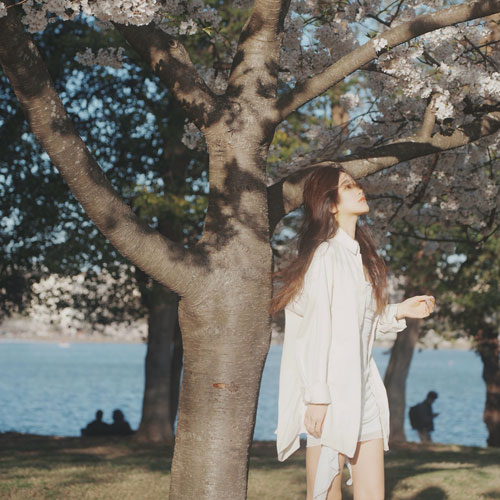 Gengwen Li standing underneath a cherry blossom tree in Washington, D.C.