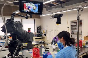 Virtual Lab with a camera pointed at a student working in the lab.