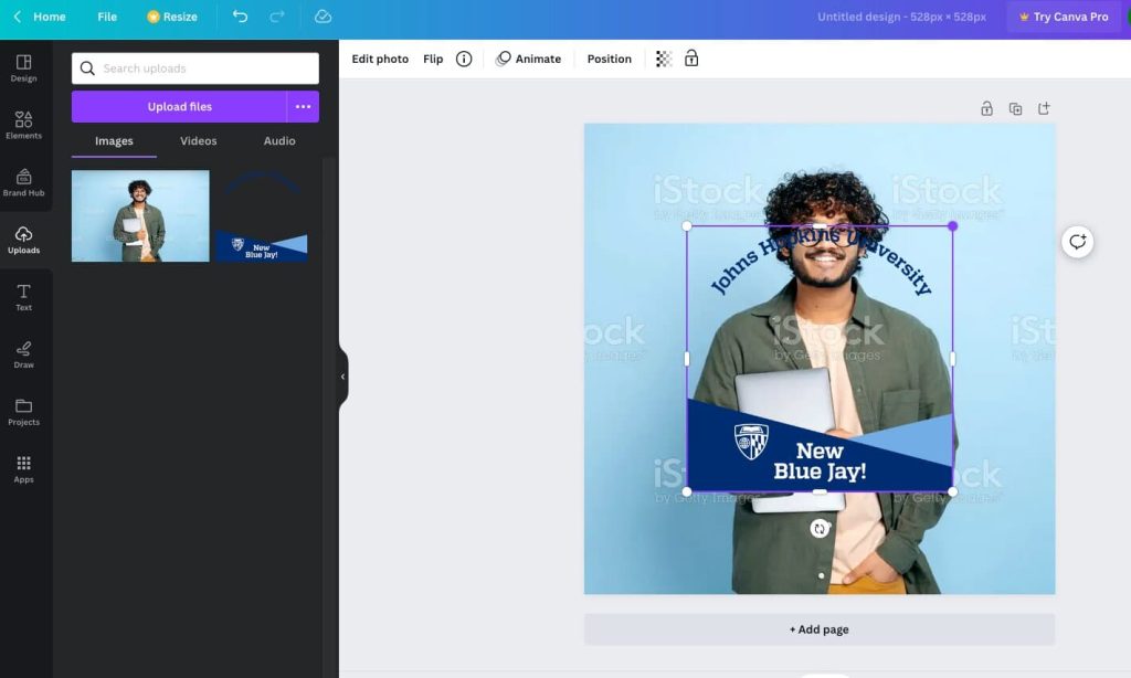 User Adding JHU Graphic to Student Headshot in Canva