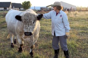 Linda Kiltz with a cow, on her Montana farm.